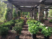 gardencenter_14